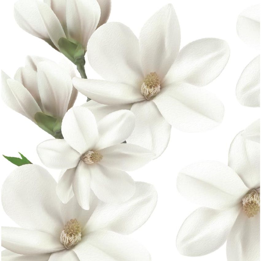 Ginger Monkey - White Magnolia