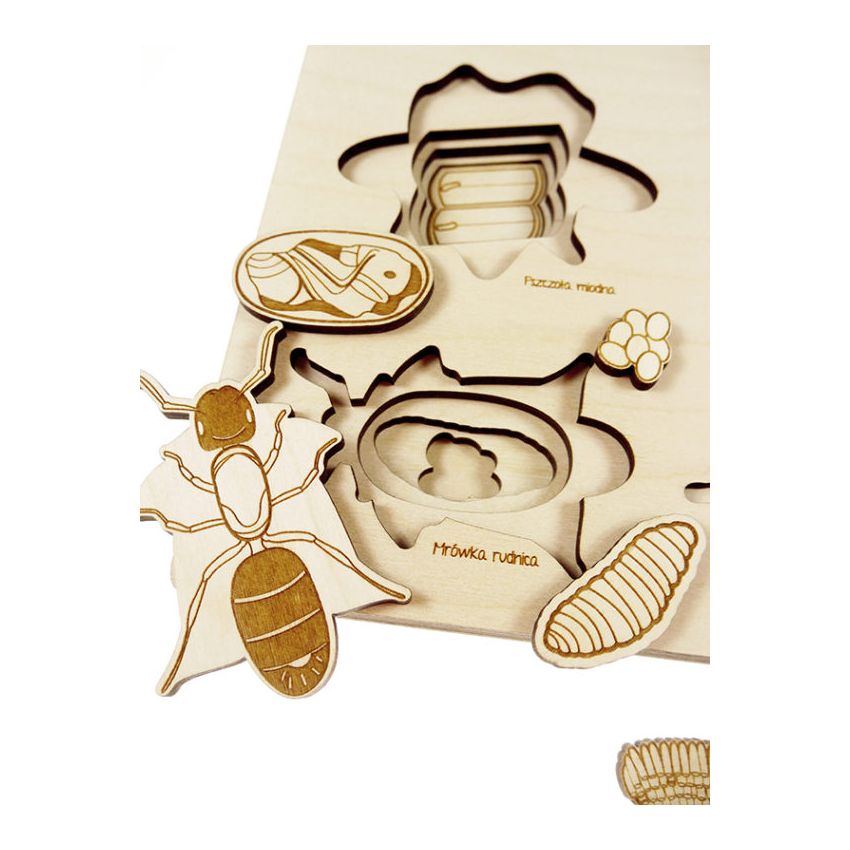 Stuka Puka - Holz Puzzle Hirschkäfer & Freunde (deutsch)