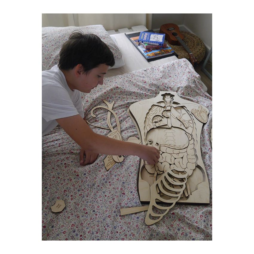 Stuka Puka - Holz Anatomie Puzzle 