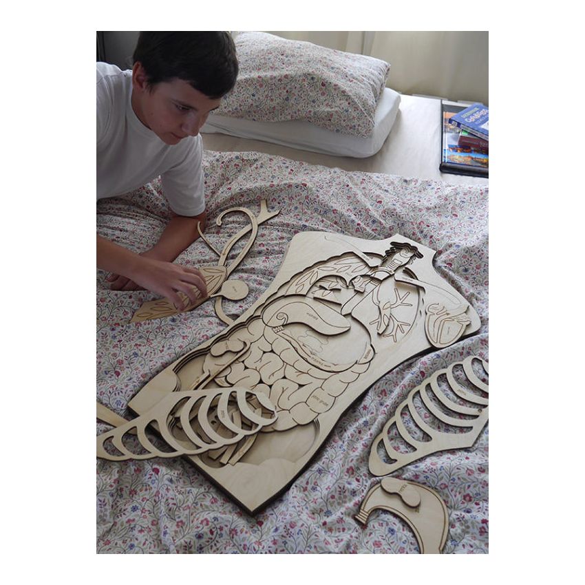 Stuka Puka - Holz Anatomie Puzzle 