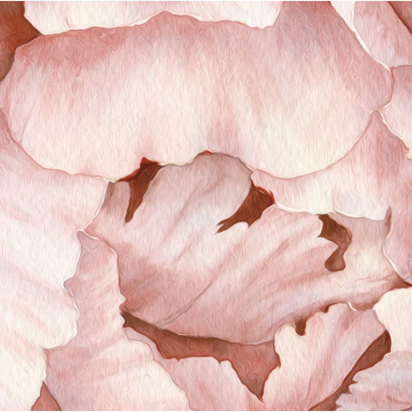 Ginger Monkey - Peony and Rose