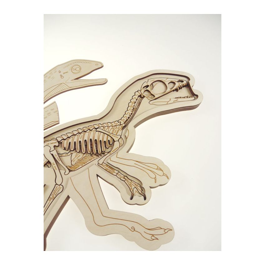 Stuka Puka - Holz Anatomie Puzzle Dinosaurier (deutsch)