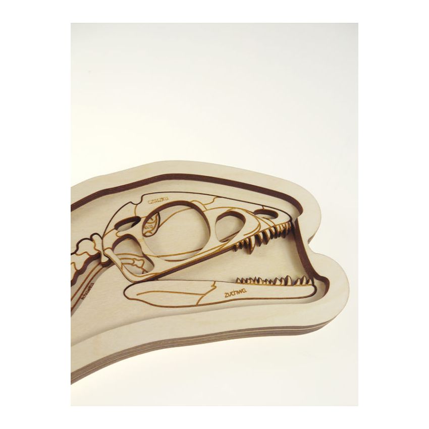 Stuka Puka - Holz Anatomie Puzzle Dinosaurier (deutsch)