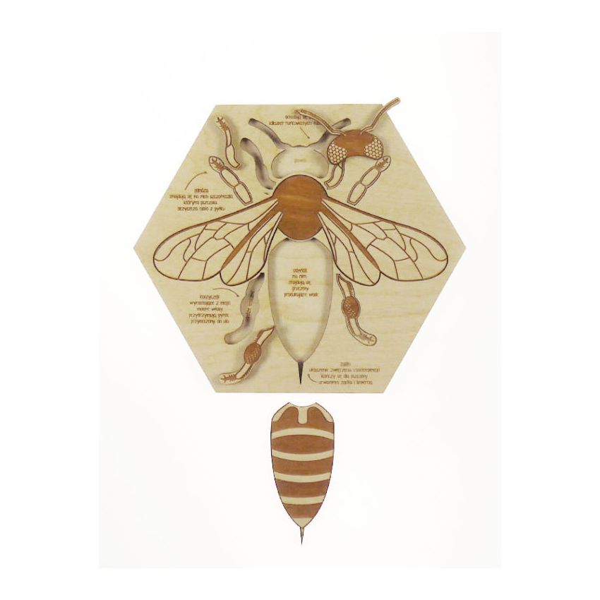 Stuka Puka - Holz Puzzle Bienen Anatomie (deutsch)