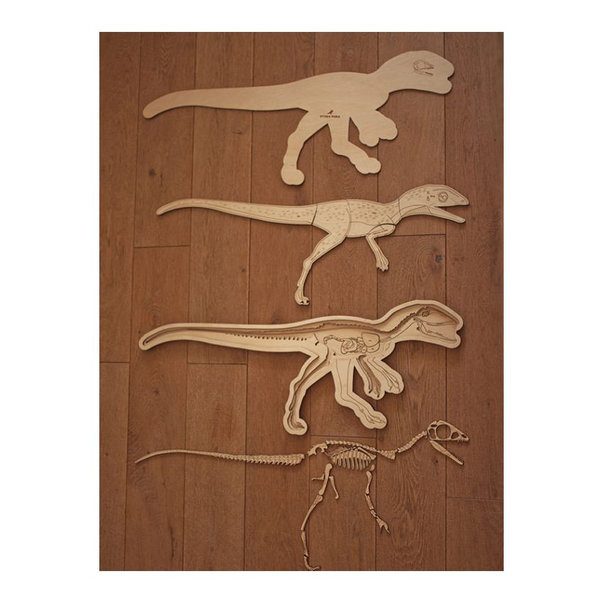 Stuka Puka - Holz Anatomie Puzzle Dinosaurier (deutsch)