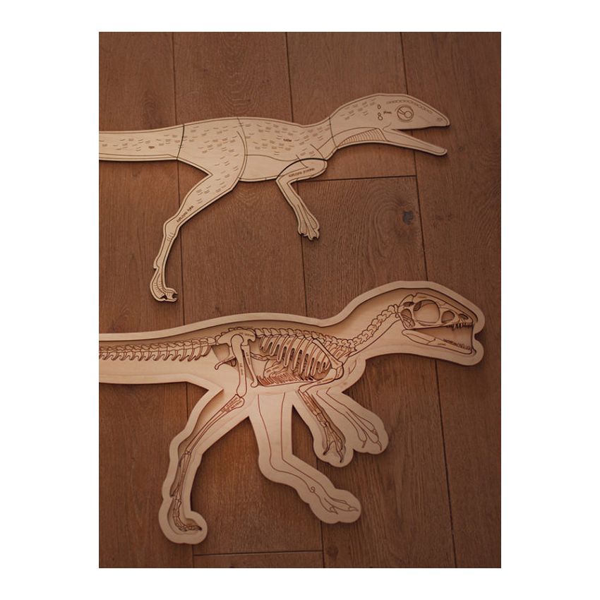 Stuka Puka - Holz Anatomie Puzzle Dinosaurier (deutsch)