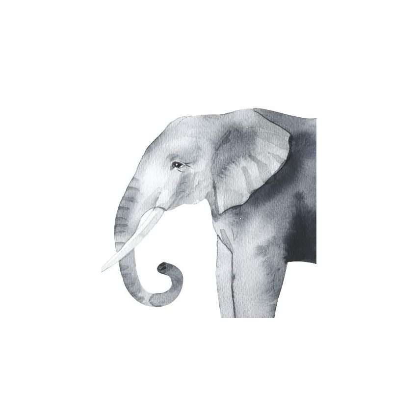 Ginger Monkey - Safari Animals 1/2 Set