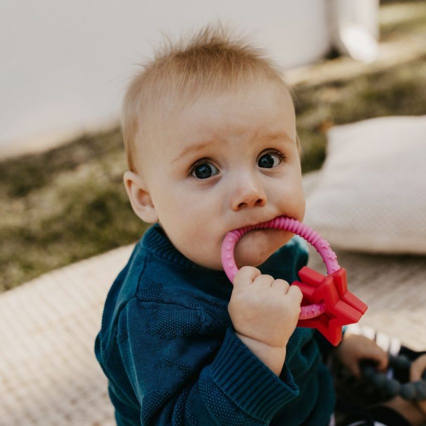 jellystone designs - Stern Greifling Blossom Pink & Fuchsia