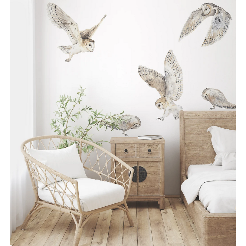 Ginger Monkey - Eulen Set