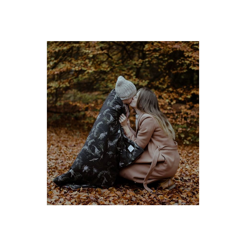 Makaszka - Samtdecke Dino World 100x150cm