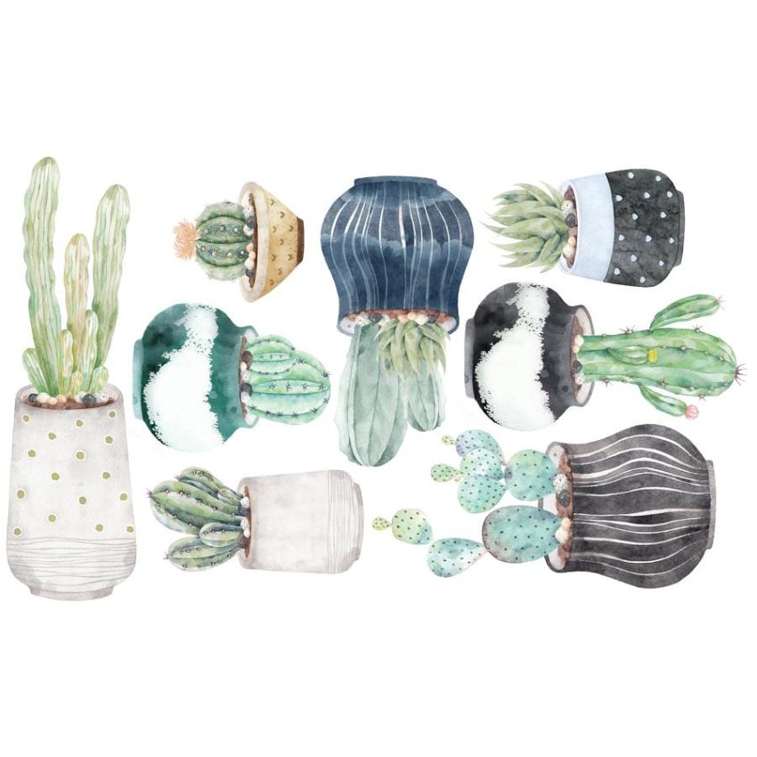 Ginger Monkey - Succulent & Cactus Set