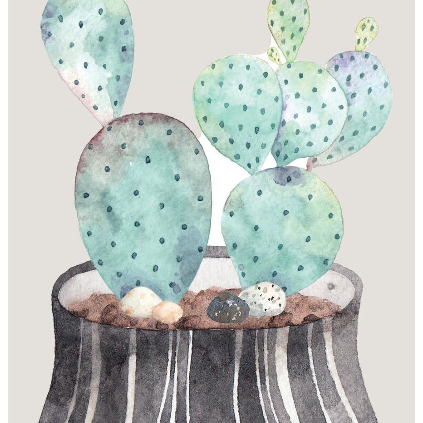 Ginger Monkey - Succulent & Cactus Set