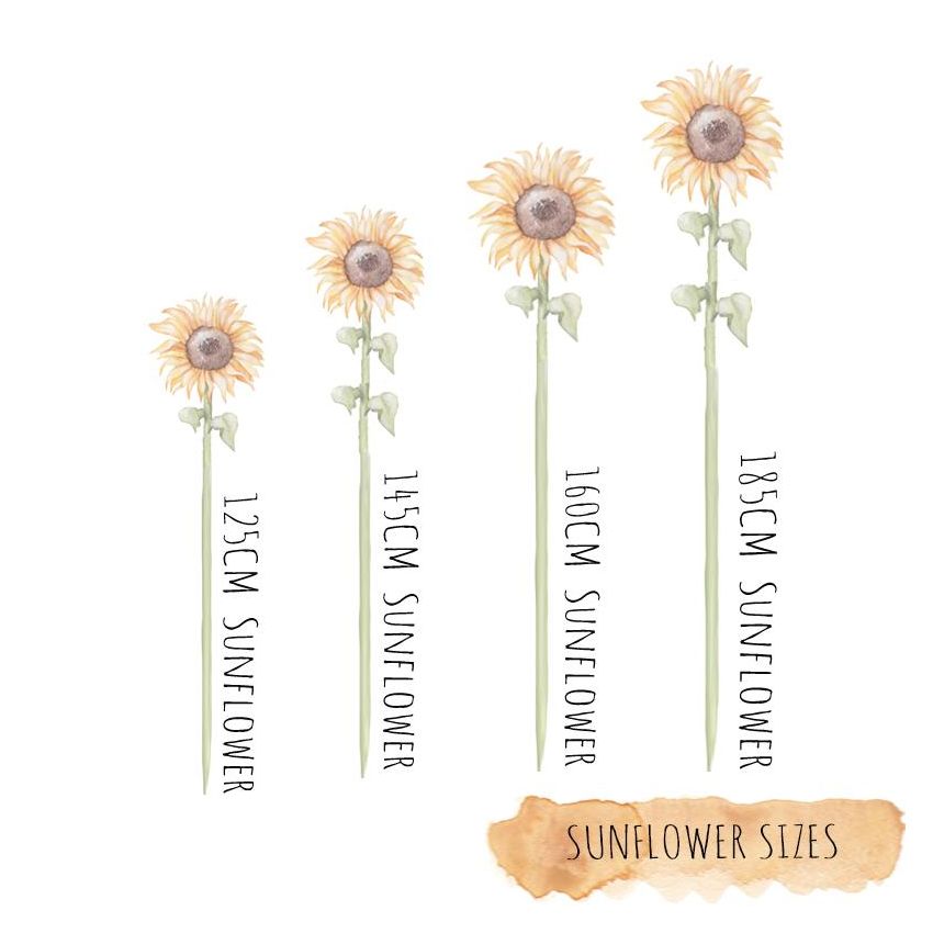Little Rae Prints - Wandsticker Sonnenblumen