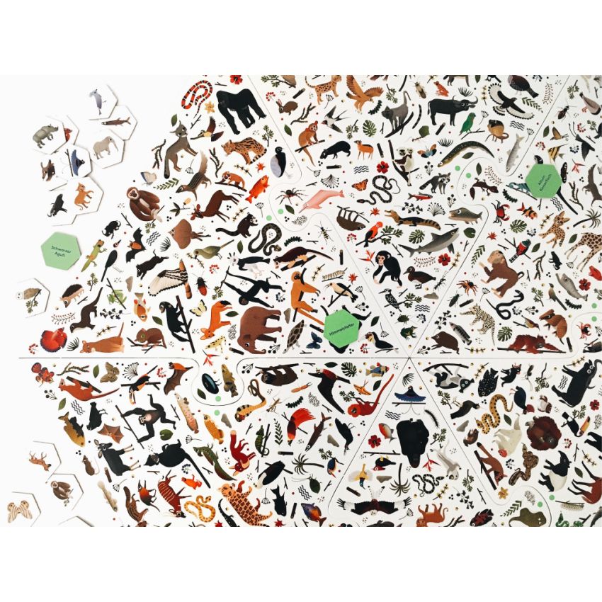 Laurence King Verlag - Erster sein! Dschungel! Das große Wimmel-Such-Spiel