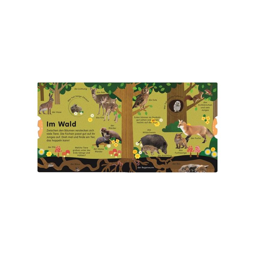 Dorling Kindersley - Erstes Lernen Drehen. So viele Tierkinder