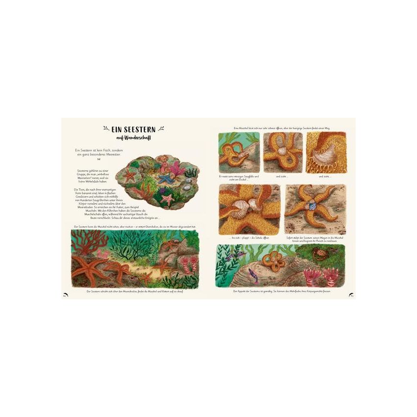 Prestel Verlag - Wunder der Natur¨- 50 wahre Wunder der Natur zum Innehalten und Staunen