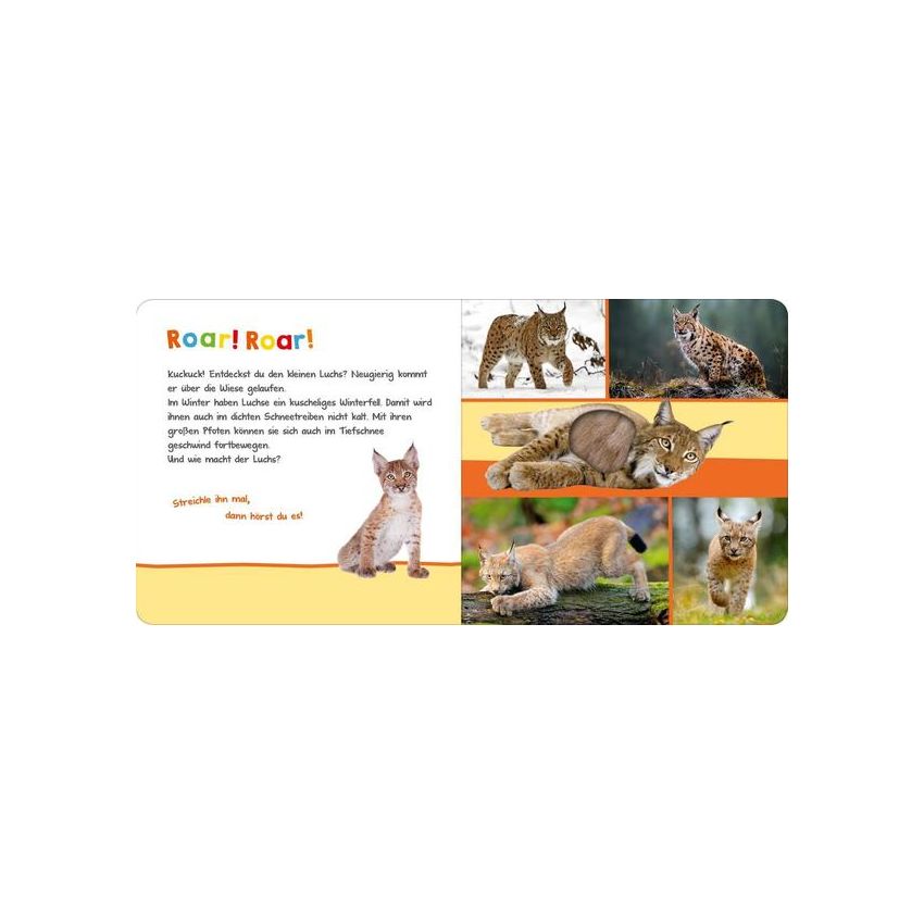 arsEdition - Hör mal rein, wer kann das sein? Im Wildpark