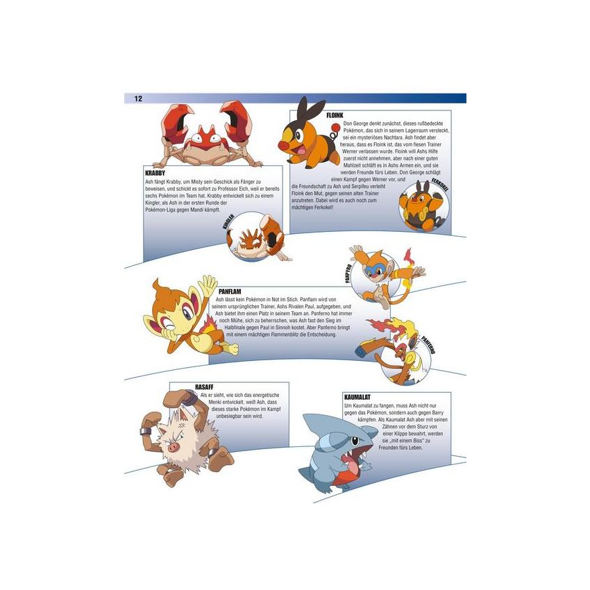 Nelson Verlag: Pokémon: Das große Lexikon - Mehr als 300 Seiten
