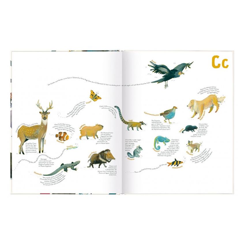 Moses Verlag - Alle Tiere, die ich (noch nicht) kenne