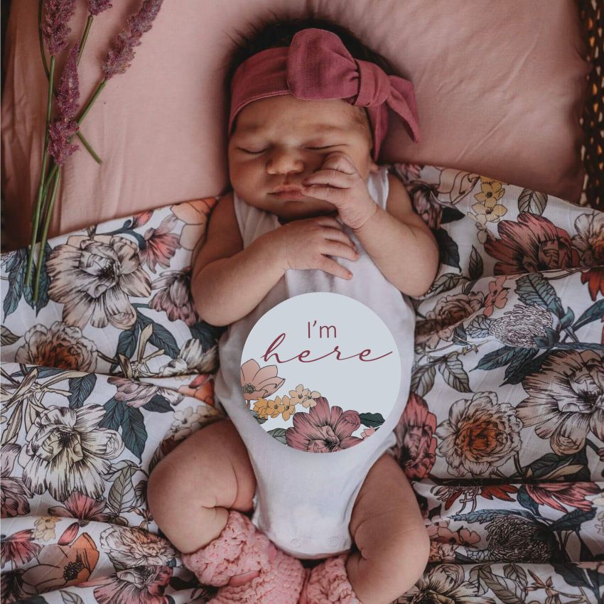 Snuggle Hunny - Meilenstein Karten Australiana & Rust