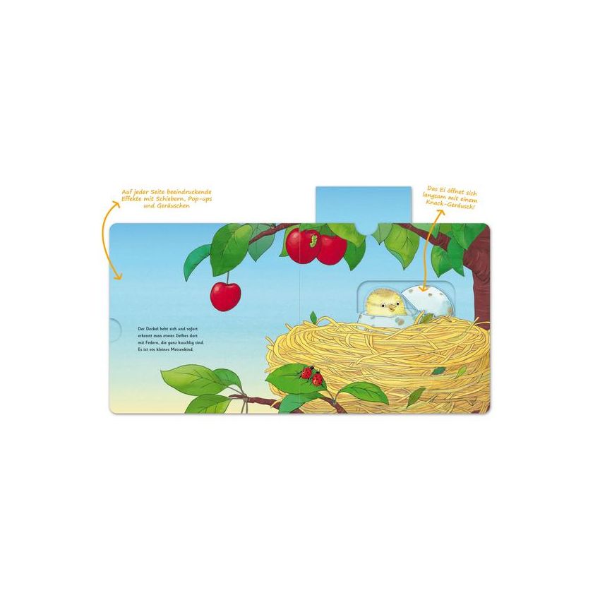 Sauerländer Verlag - Das Eiwunder - Zum Schieben, Klappen und Staunen