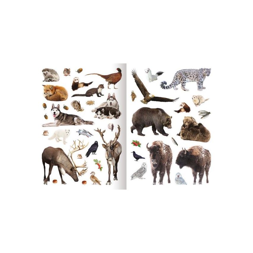 Mein Foto-Stickerspaß - Tiere im Winter