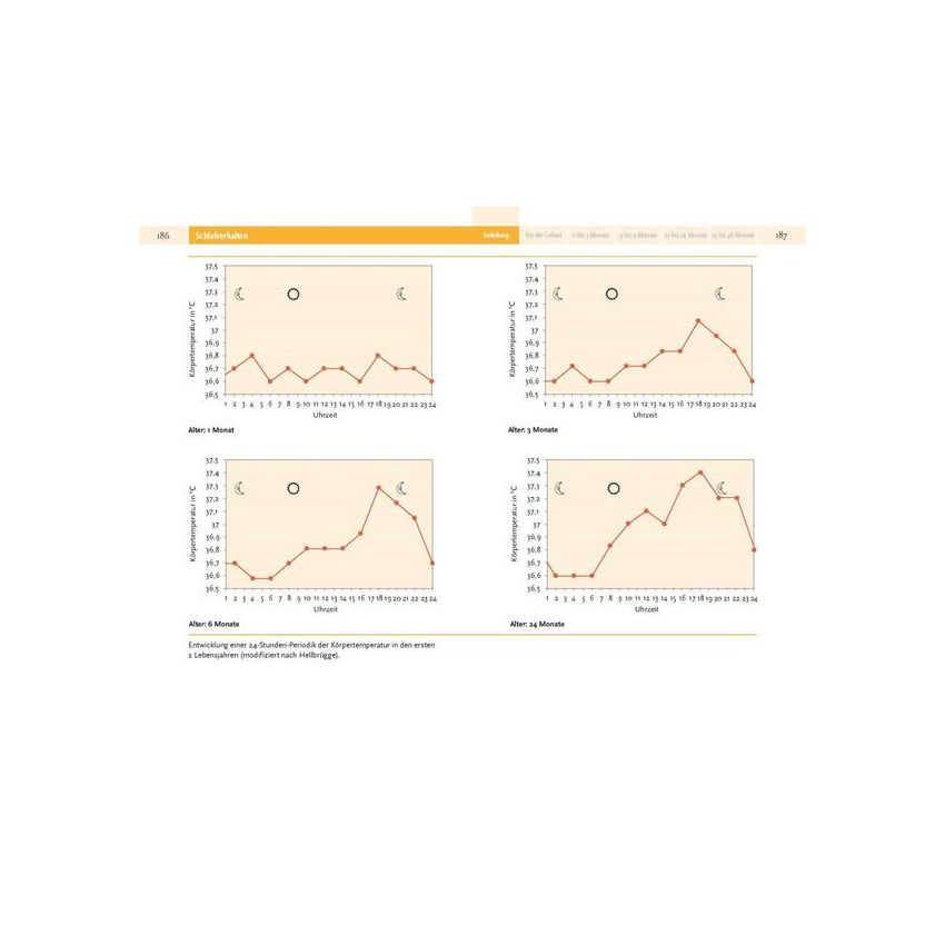 Piper Verlag - Babyjahre Entwicklung und Erziehung in den ersten vier Jahren - Remo Largo