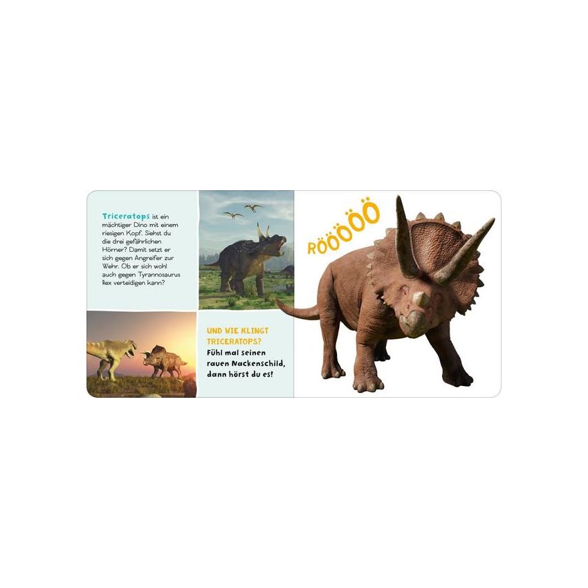 arsEdition - Mein starkes Soundbuch - Dinosaurier Tönendes Buch. Fühlbuch