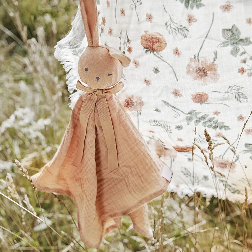 Elodie - Blinkie - Apricot