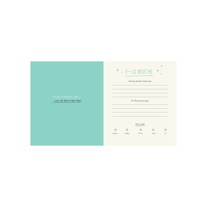 Knesebeck Verlag - Mein Schwangerschaftstagebuch - Neun Monate im Ausnahmezustand