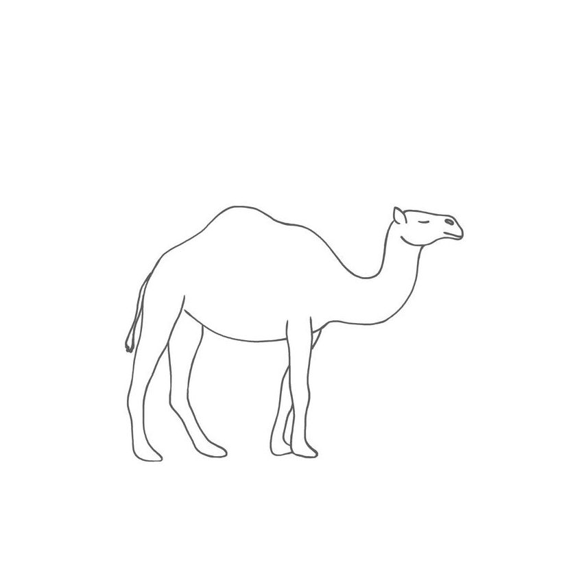 Vicky Bo Verlag - Malbuch Tiere ab 2 Jahre - Erstes Malen