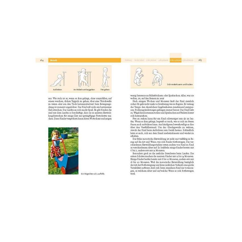 Piper Verlag - Babyjahre Entwicklung und Erziehung in den ersten vier Jahren - Remo Largo