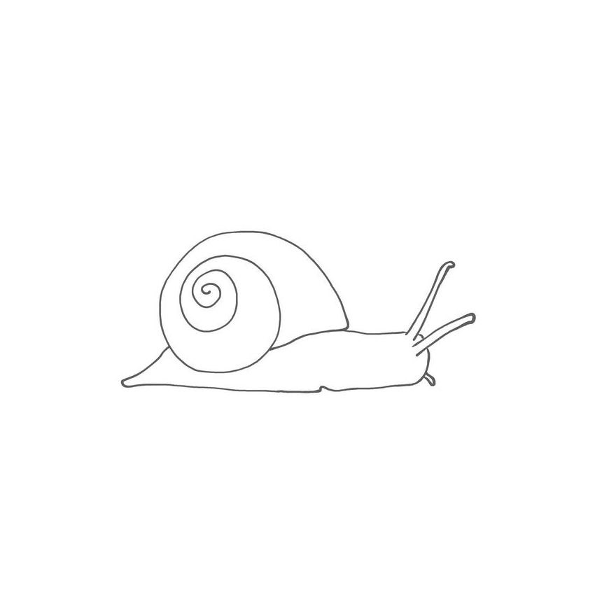 Vicky Bo Verlag - Malbuch Tiere ab 2 Jahre - Erstes Malen