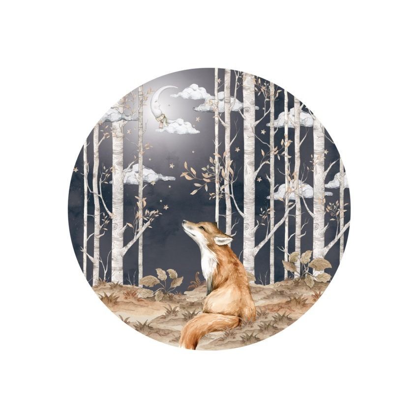 Dekornik - Fuchs im Kreis