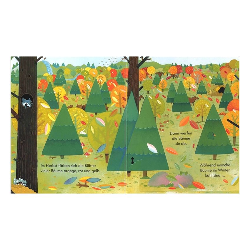 Usborne Verlag - Klappbuch - Der Wald und seine Jahreszeiten