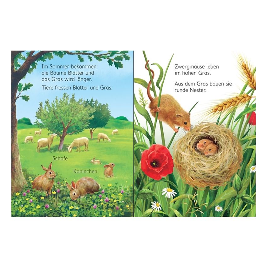 Usborne Verlag - Mein erstes Natur-Wissen: Die Jahreszeiten