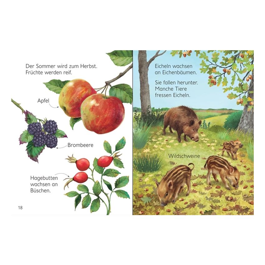 Usborne Verlag - Mein erstes Natur-Wissen: Die Jahreszeiten