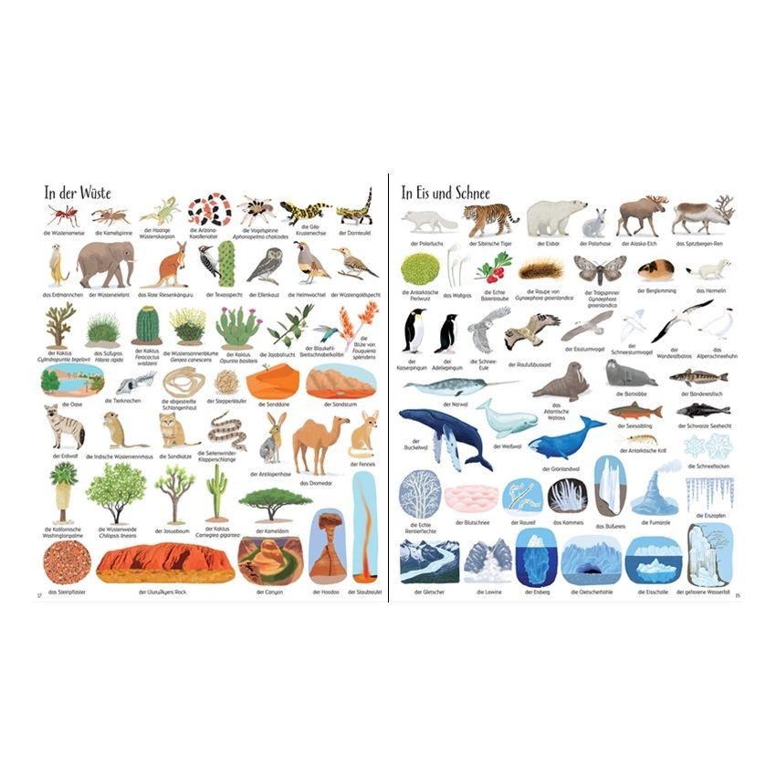 Usborne Verlag - So viel zu entdecken! 1000 Dinge in der Natur