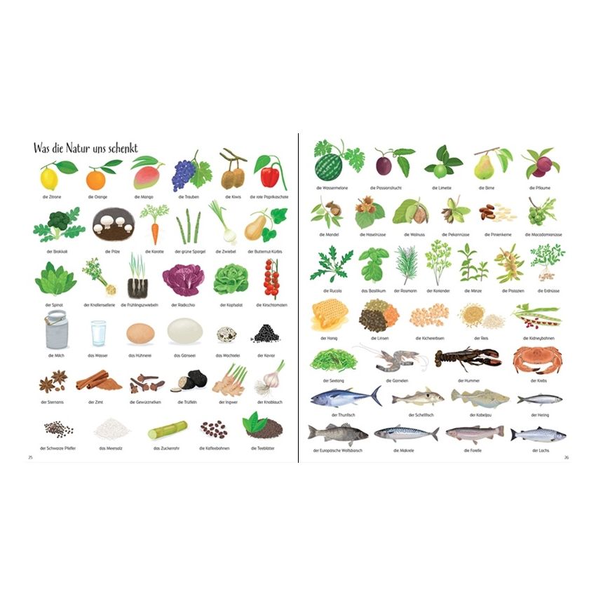 Usborne Verlag - So viel zu entdecken! 1000 Dinge in der Natur