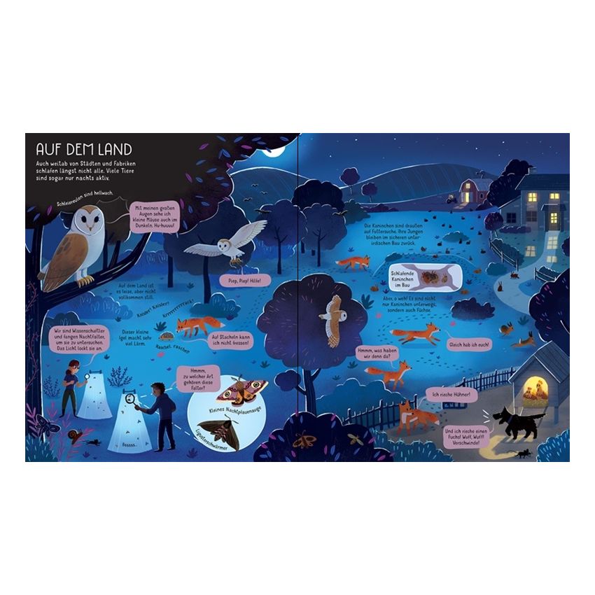 Usborne Verlag - Die Welt bei Nacht