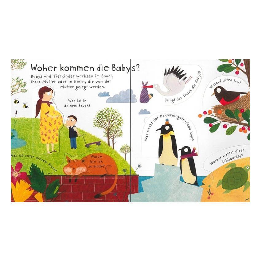 Usborne Verlag - Erstes Aufklappen und Verstehen: Woher kommen die Babys?