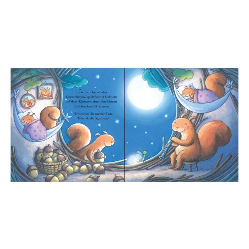 Usborne Verlag - Hörst du, wer da musiziert? Zur Schlafenszeit