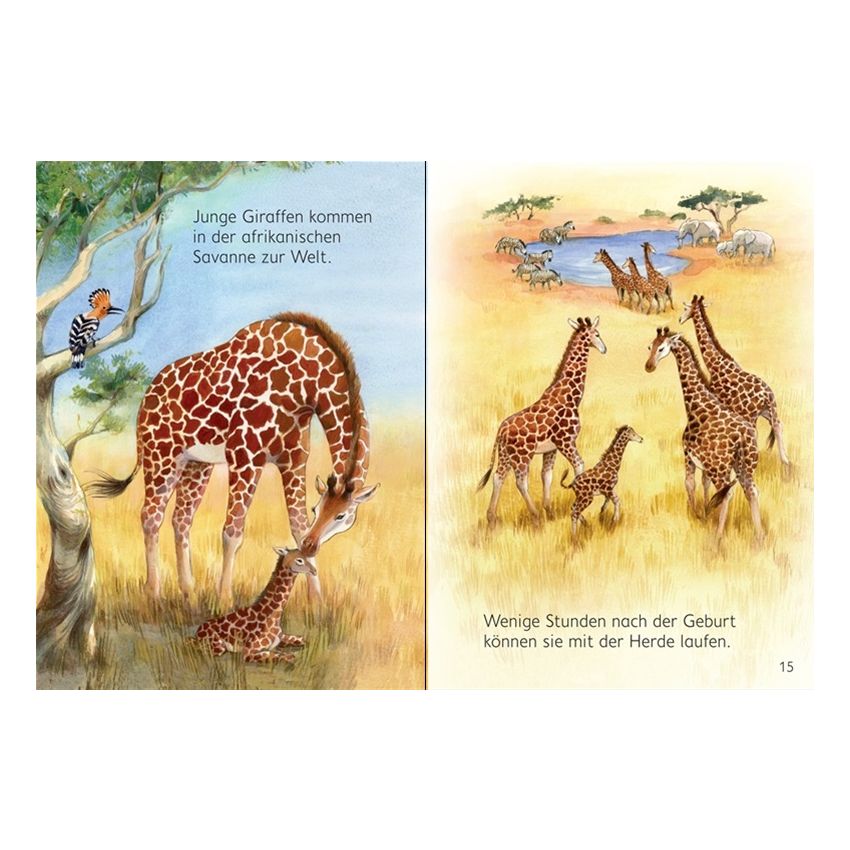 Usborne Verlag - Mein erstes Natur-Wissen: Tierkinder