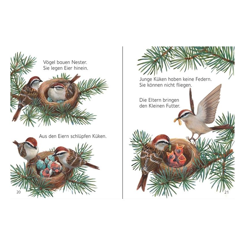 Usborne Verlag - Mein erstes Natur-Wissen: Tierkinder