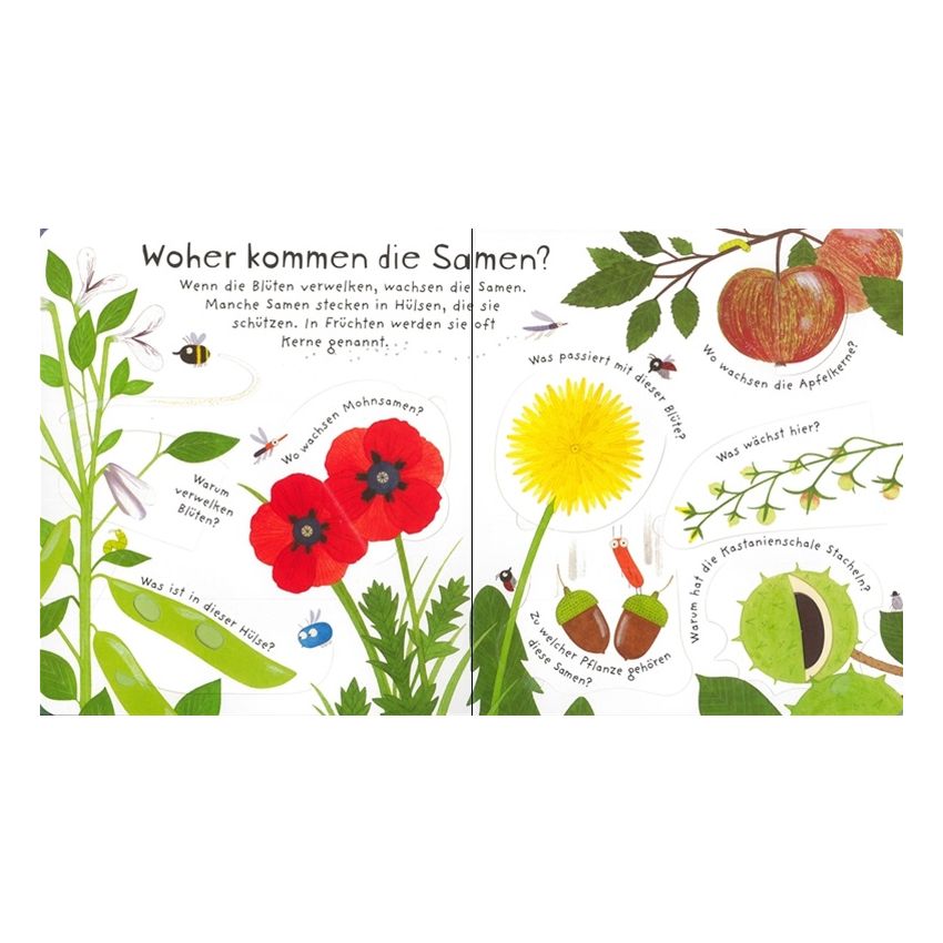Usborne Verlag - Erstes Aufklappen und Verstehen: Warum blühen Blumen?