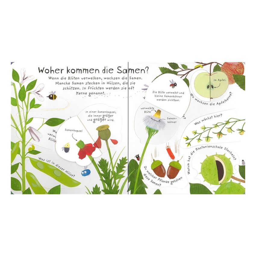 Usborne Verlag - Erstes Aufklappen und Verstehen: Warum blühen Blumen?