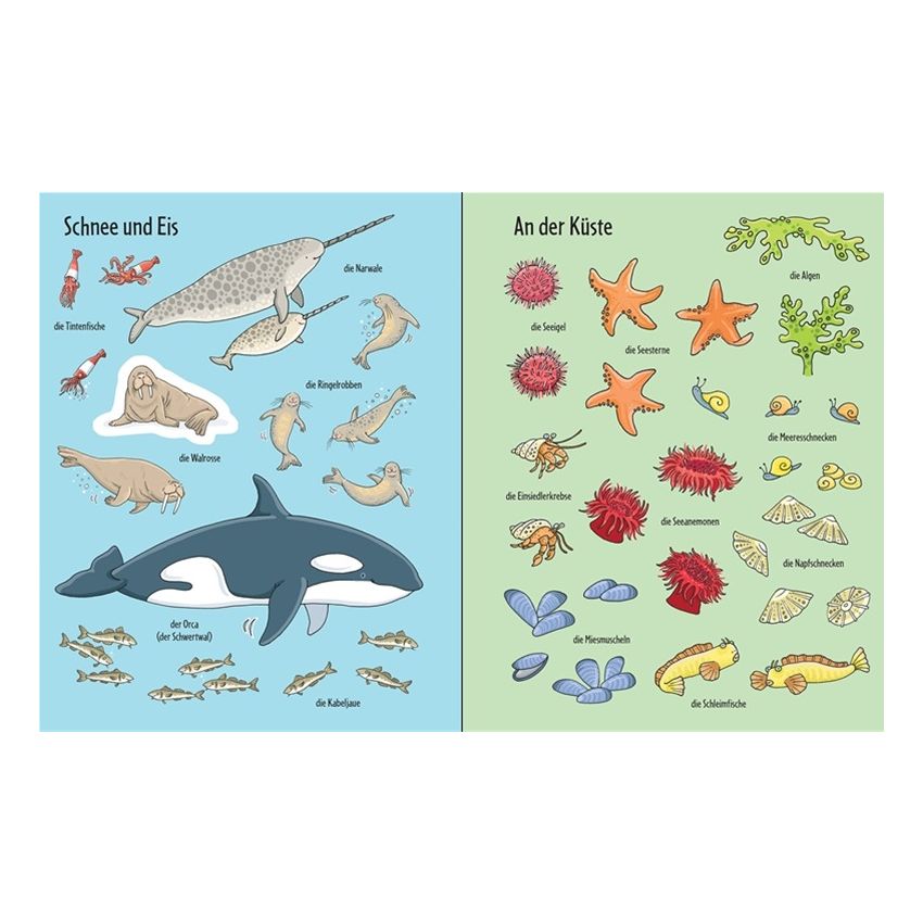 Usborne Verlag - Mein erstes Stickerbuch: Im Meer