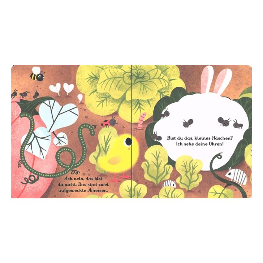 Usborne Verlag - Mein buntes Gucklochbuch: Bist du das, kleines Häschen?