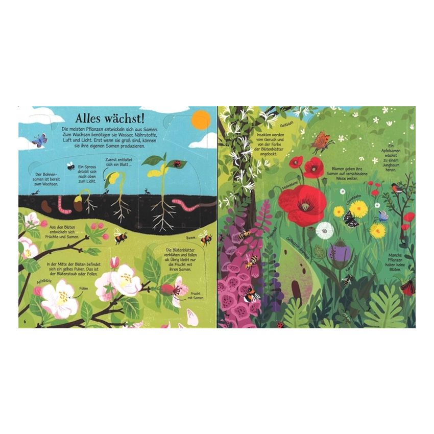 Usborne Verlag - Naturwissen aufgedeckt! Tiere und Pflanzen - Klappenbuch