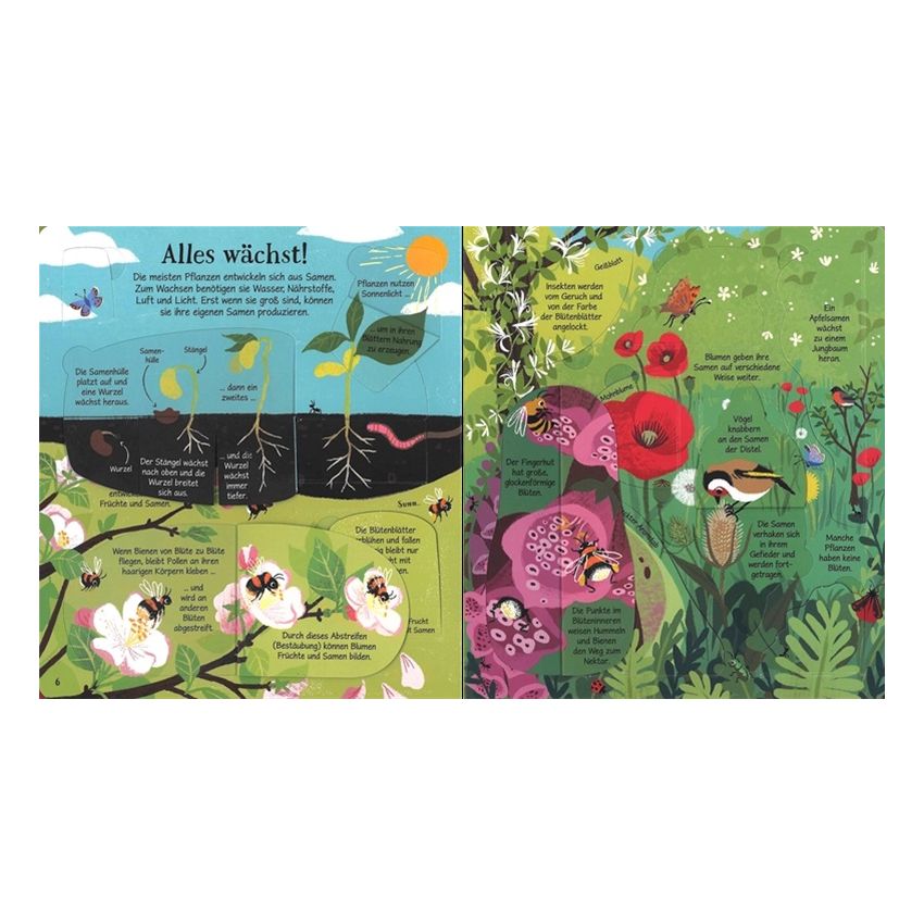 Usborne Verlag - Naturwissen aufgedeckt! Tiere und Pflanzen - Klappenbuch